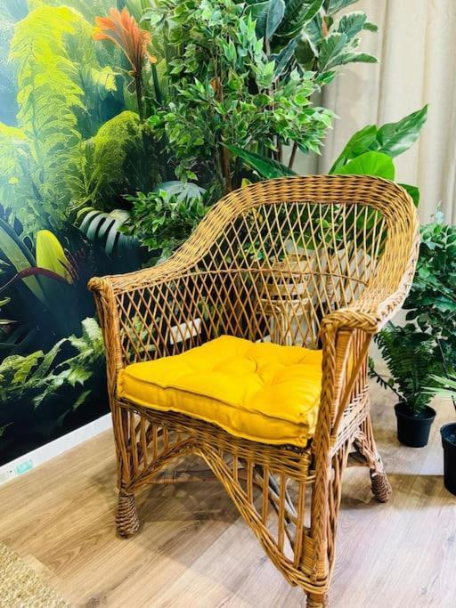 Apartment Bel Forest , Climatise, Terrasse *