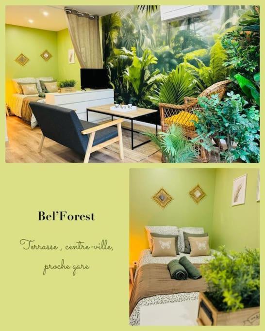 Bel Forest , Climatise, Terrasse * Belfort